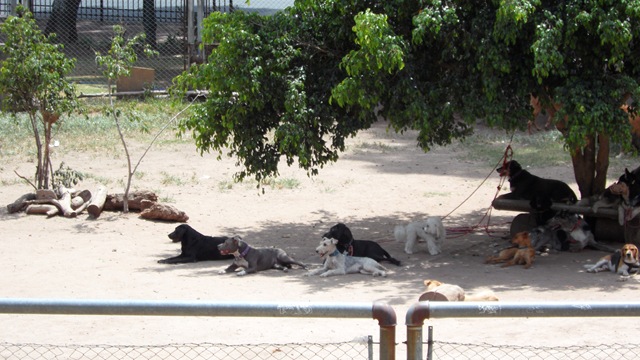 [SAM_1034%255B3%255D.jpg]