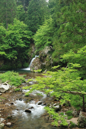 鳴滝