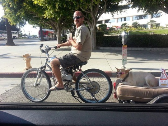 [viral-picdump-pics-48%255B2%255D.jpg]