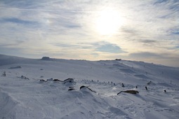 IMG_0127