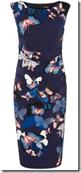 Phase Eight Butterfly Print Dress