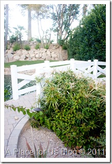 IMG_6426_7990