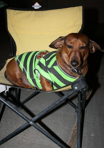 HALLOWEEN 039