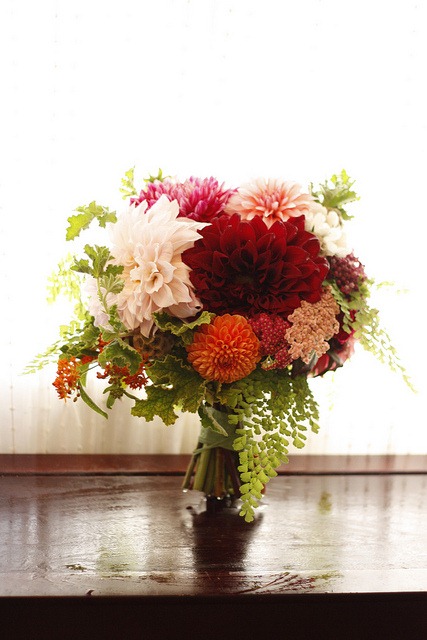 [5956617503_b1aa922b6f_z%2520%2520honey%2520and%2520poppies%255B5%255D.jpg]