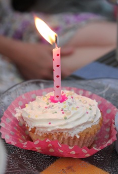 IMG_3905 IMG_3905