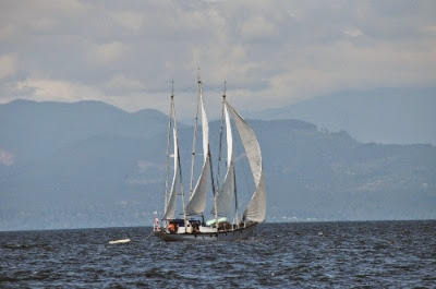 DSC_0294_2.jpg DSC 0294 2