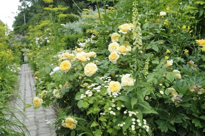 claus20100705_080057