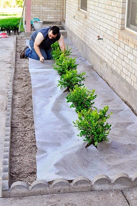 Alandscaping tutorial for adding boxwoods or plants to the front of your home to boost curb appeal. This is how we put landscape fabric.
