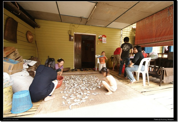 kuching 229 kuching 229