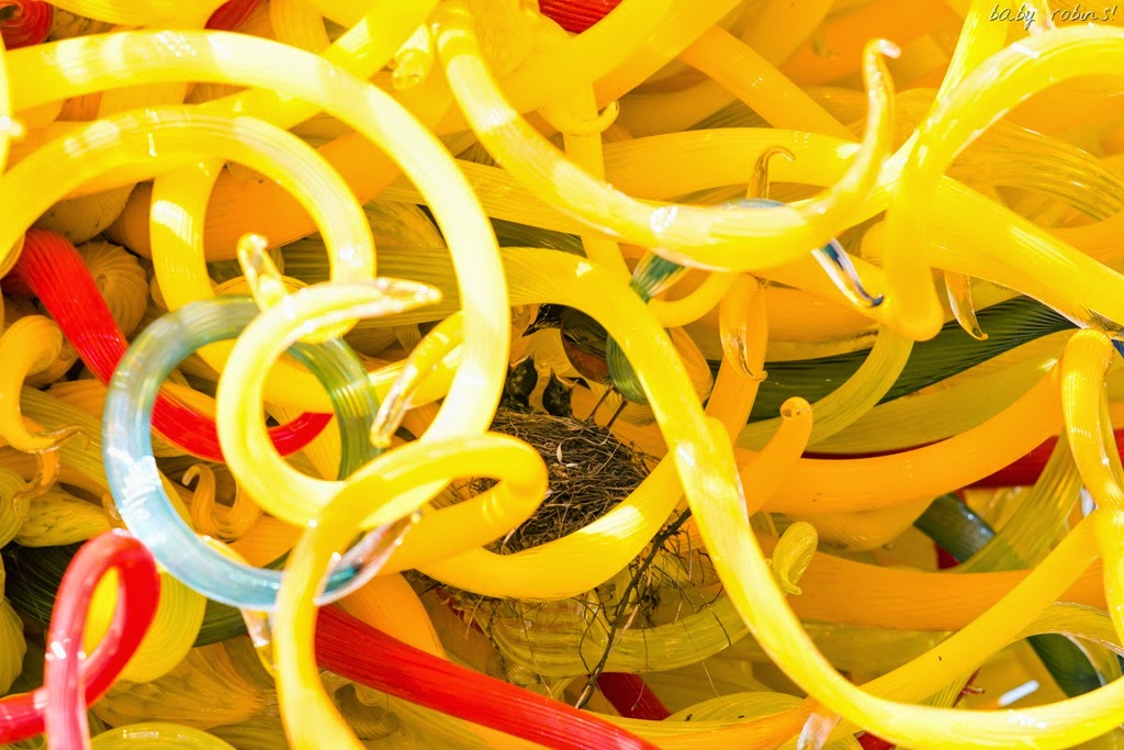 [IMG_7922-2%255B6%255D.jpg]