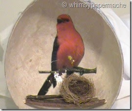 Bird Nest with Paper Mache