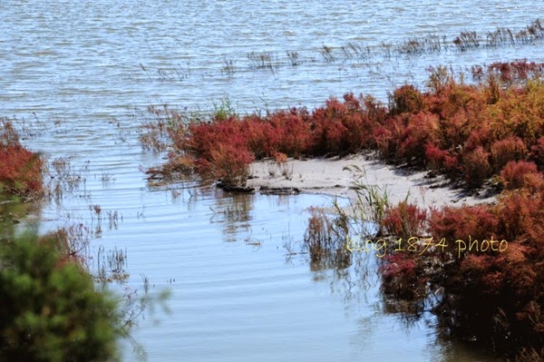 [SYG_4486%255B2%255D.jpg]