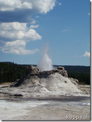 110827 NP Yellowstone (29)