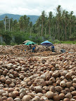 Thaïlande - Entre Bang Saphan et Khiri Khan