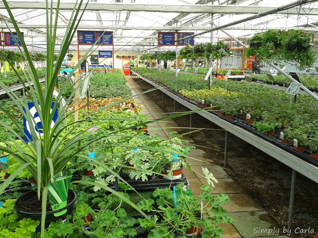 [20140413_111743%255B8%255D.jpg]