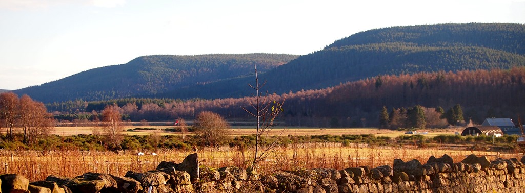 [6%2520Jan%25209%255B3%255D.jpg]