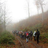 Kirándulás - Pilis, 2009. november 14.