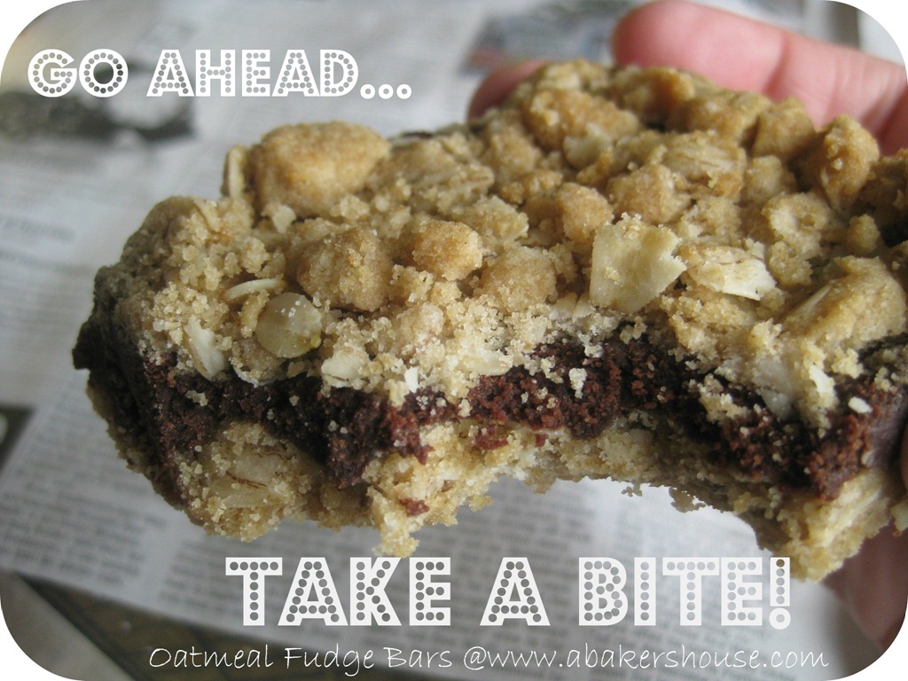 [fudge%2520bar%2520bite%2520caption%255B4%255D.jpg]