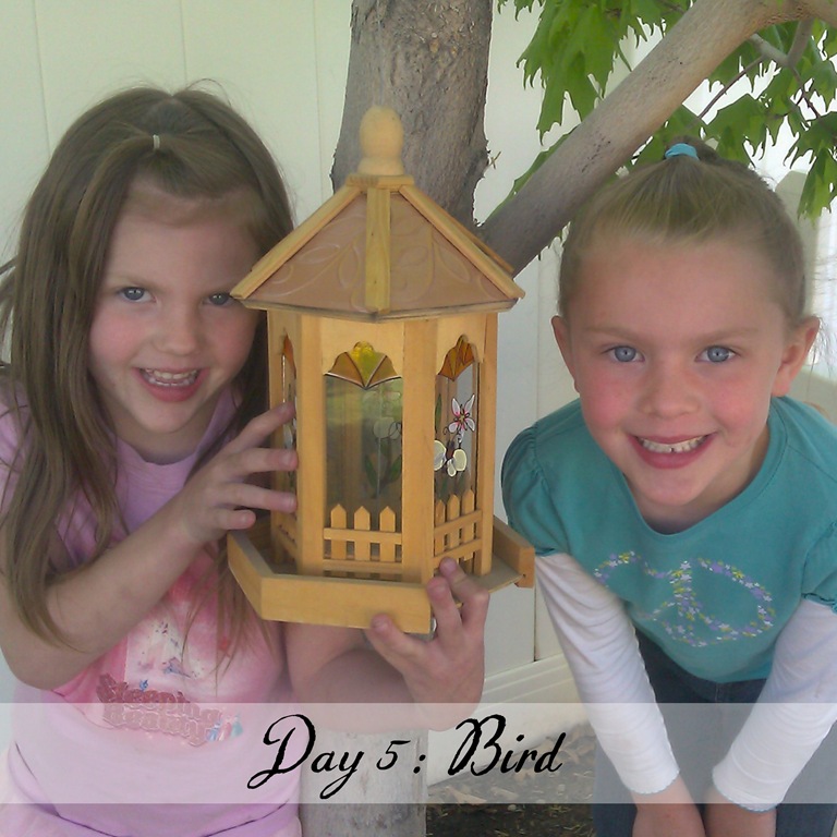 [Day%25205%2520bird%255B6%255D.jpg]