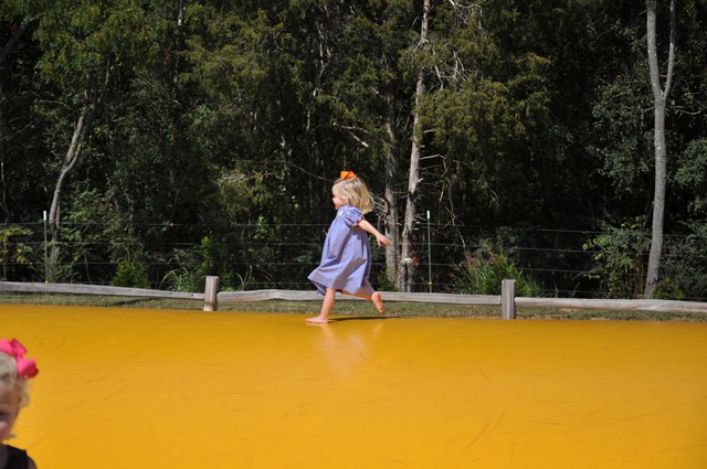[southern%2520belle%2520farm%2520100611%2520%252830%2529%255B3%255D.jpg]