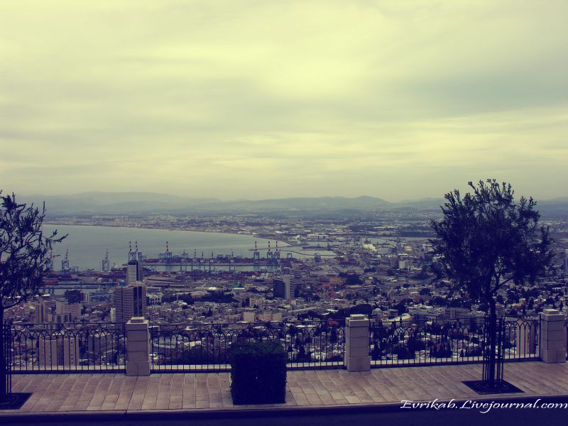 ЗИМНЯЯ ХАЙФА