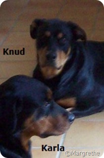 Karla og Knud