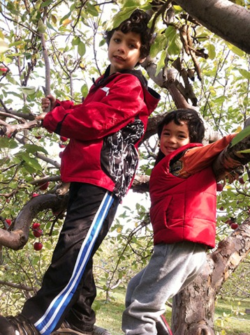 [boys-in-tree%255B4%255D.jpg]