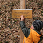 singold-bote_waldlehrpfad-schwabegg_013.jpg