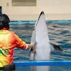 hokkaido_448.jpg