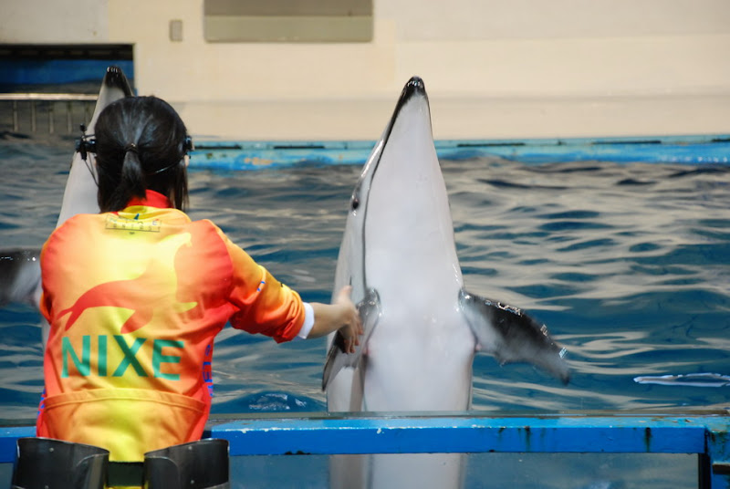 hokkaido_448.jpg