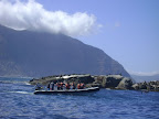 DSC08553.JPG