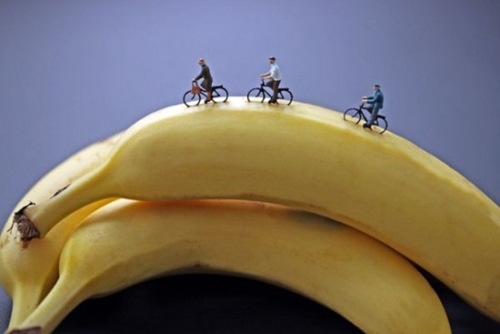 banana riders banana riders