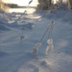 IMG_7146.JPG