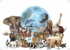 animales-en-peligro-de-extincion animales-en-peligro-de-extincion