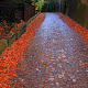 Cobblestone streets beside the Rietberg Museum