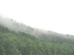 8.8.11 VT mist rising off the mts 8.8.11 VT mist rising off the mts