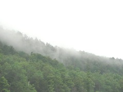 8.8.11 VT mist rising off the mts