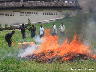 Incinération des drogues par la Police nationale congolaise ce 15 mars 2011 à Kinshasa.