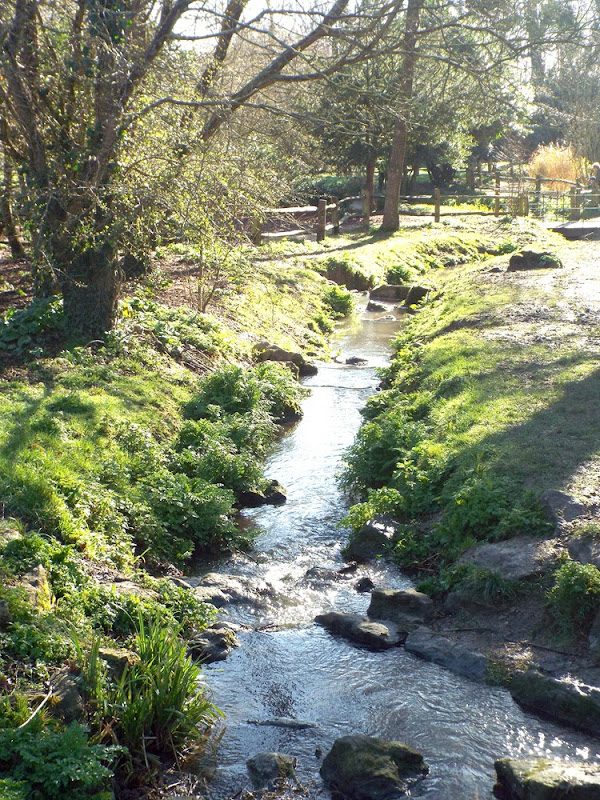 stream stream