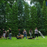 IMGP5978.jpg