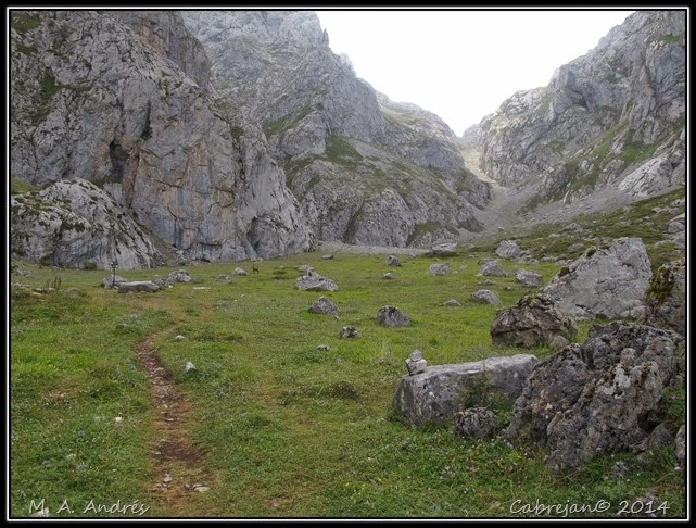 Picos 036 Picos 036