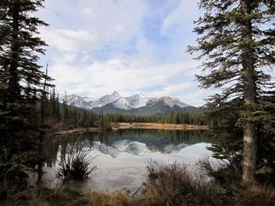 IMG_0984 IMG_0984