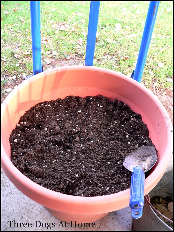 [planting-0197.jpg]