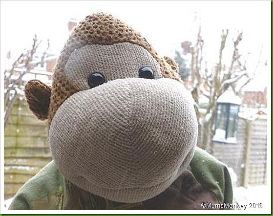 Darrell Monkeey Darrell Monkeey