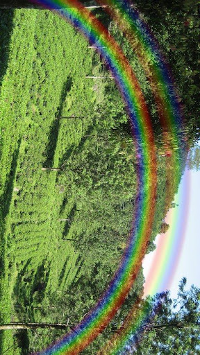 Double Rainbow Camera