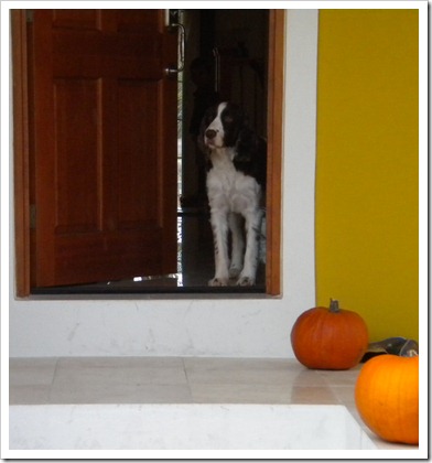 DSCN1599 DSCN1599