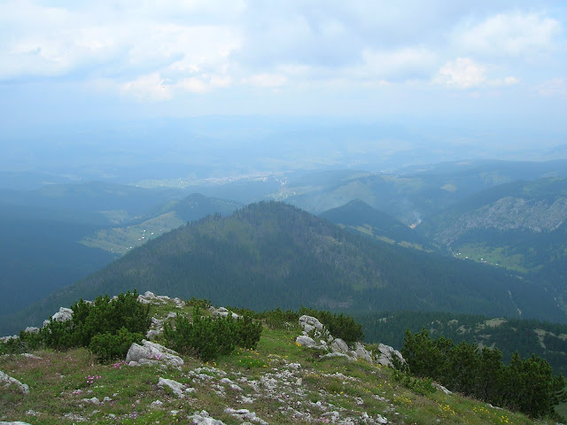 20100731%2520Ahmica%2520047.JPG