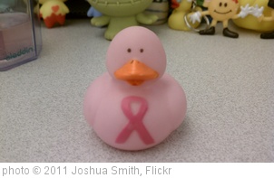 'Breast Cancer Awareness Duck (Pink) by Oriental Trading Company' photo (c) 2011, Joshua Smith - license: http://creativecommons.org/licenses/by-sa/2.0/