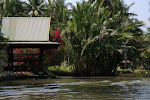 Amphawa, Thailand 171.JPG