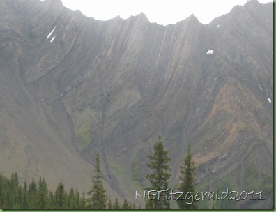 Isoclinal_folding_P_Lougheed_Prov_Park_AB_CA Isoclinal_folding_P_Lougheed_Prov_Park_AB_CA